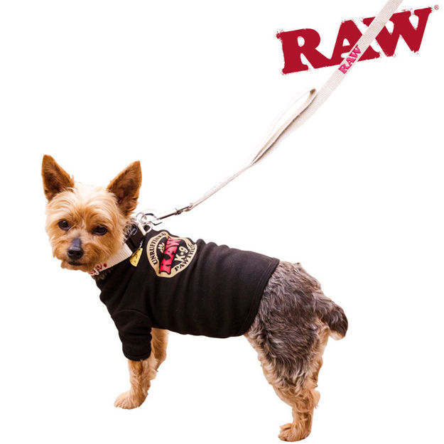 Picture of RAW DOG LEASH