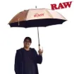 Picture of RAW CONEBRELLA