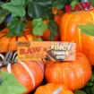 RAW x JUICY JAY'S PUMPKIN SPICE ROLLING PAPERS 1 1/4
